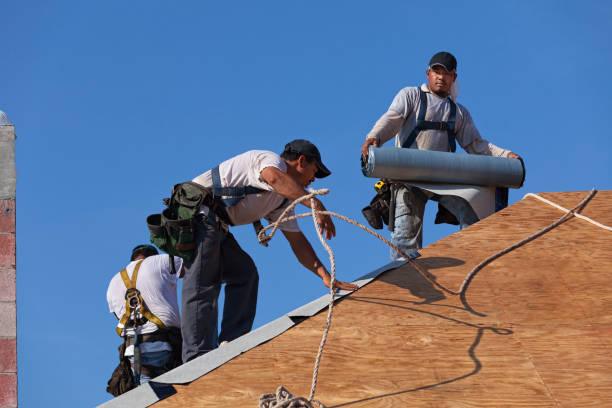 Best Roof Repair Specialists  in Kenbridge, VA