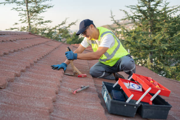 Best Roof Maintenance Services  in Kenbridge, VA