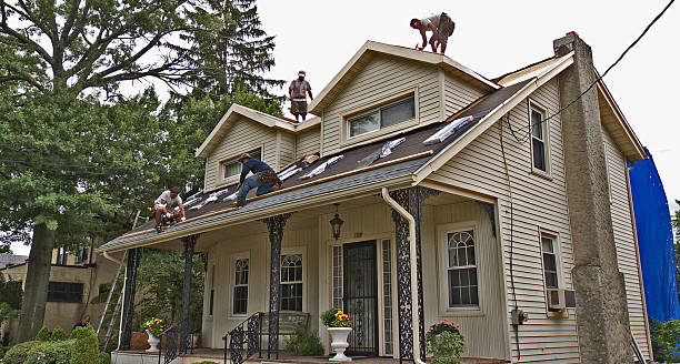 Best Storm Damage Roof Repair  in Kenbridge, VA