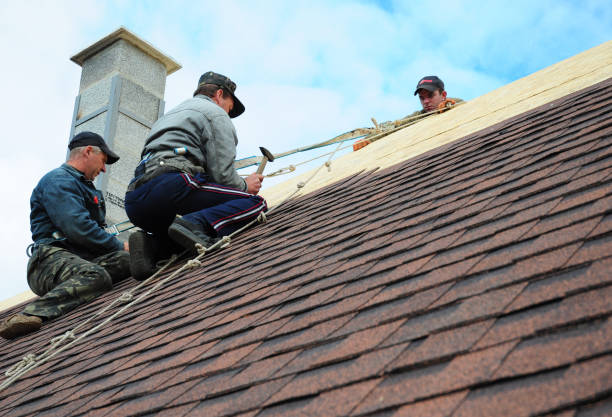 Best Roof Gutter Cleaning  in Kenbridge, VA