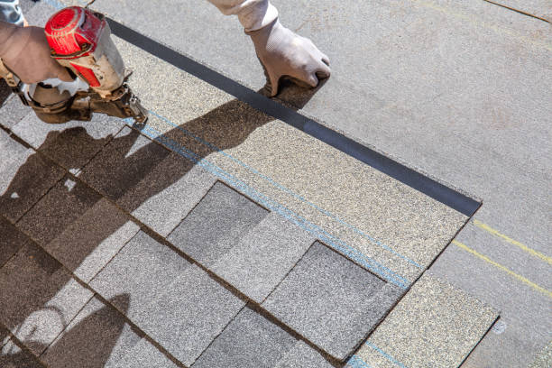 Best Metal Roofing Contractor  in Kenbridge, VA