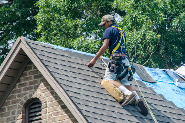 Best Affordable Roofing Company  in Kenbridge, VA