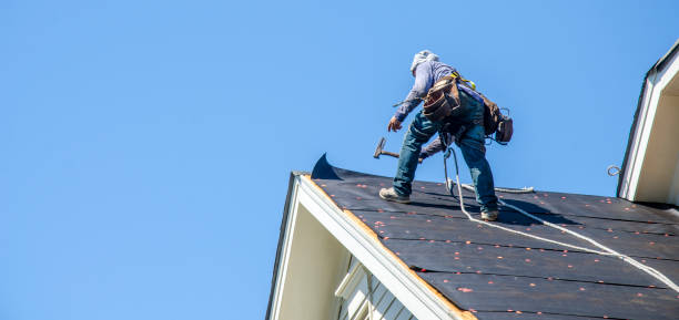 Roof Gutter Cleaning in Kenbridge, VA